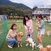 강아지운동장 메뉴 사진(네이버)