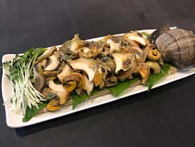 오로라회센타 사진 4