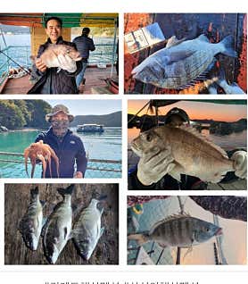 거제도 삼식이 해상펜션