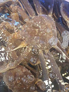 어서오시게 수지 죽전점 사진 6