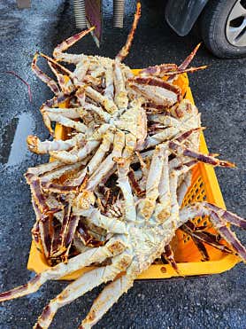 대명수산 수원농수산물도매시장점 사진 6
