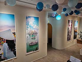 박카스바디케어 (복대) 사진 4