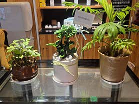 미스힐링 (정관) 매장 사진 2