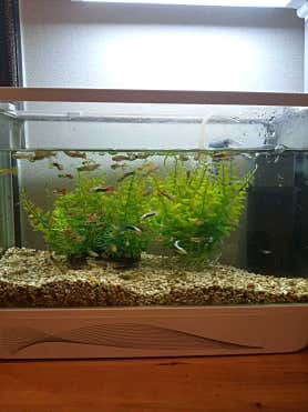 왕부정통마사지 (새솔) 사진 2