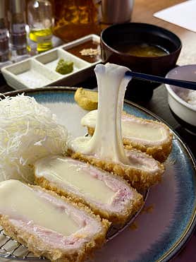 키츠 사진 3