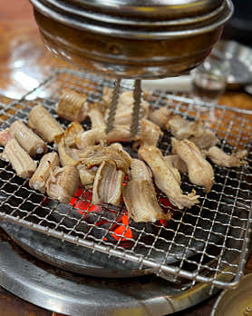 불티꼼장어 사진 6