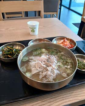 돈곰 사진 5