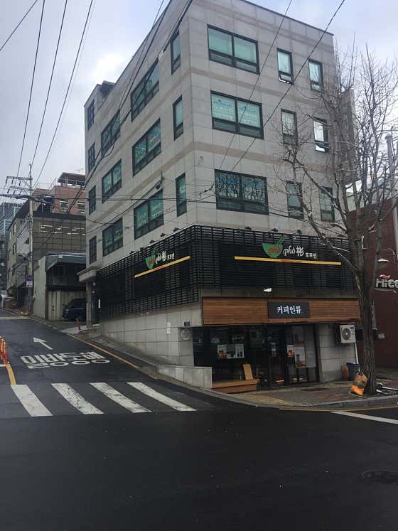 포포빈 사진 2