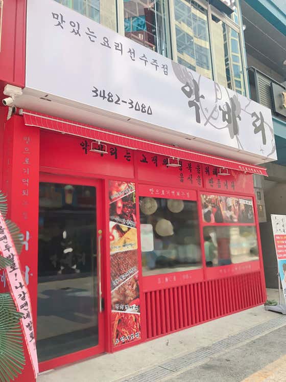 악바리 사진 2