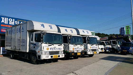 양주시 이사 포장이사 업체 후기 및 추천 후기 TOP5 원룸 용달 저렴한곳 제일익스프레스 사진