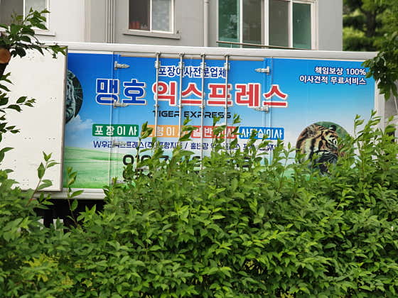 포항 북구 이사 포장이사 업체 후기 및 추천 저렴한곳 원룸 용달 추천하는곳 맹호익스프레스 사진