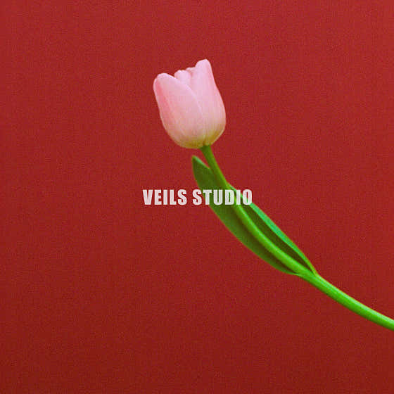 베일즈 스튜디오