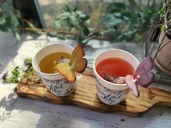 메리골드 꽃차 메뉴 사진(네이버)
