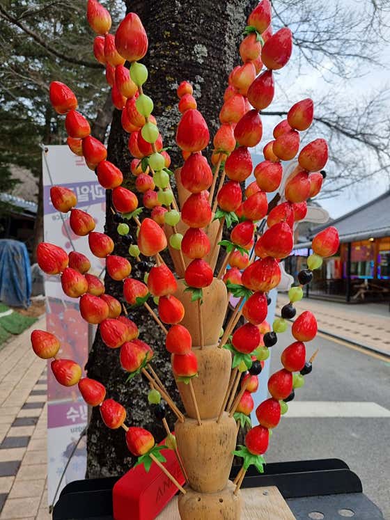 탕후루 메뉴 사진(네이버)