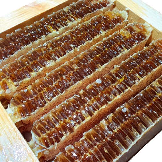 벌집 밀랍꿀 메뉴 사진(네이버)