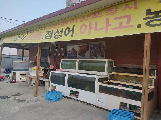 회(횟감에따라변동) 메뉴 사진(네이버)