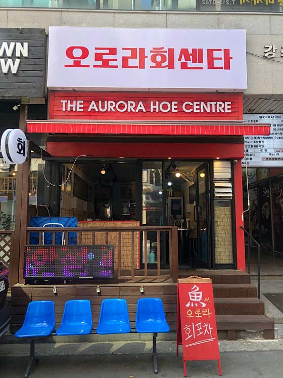 오로라회센타 사진 2
