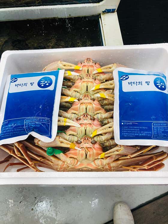 국내산 박달대게 메뉴 사진(네이버)