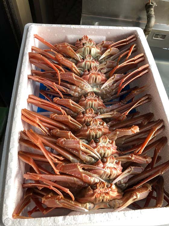 울진대게 메뉴 사진(네이버)