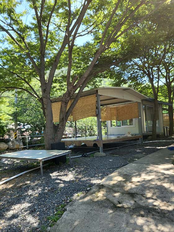 큰평상 메뉴 사진(네이버)