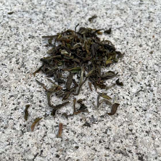 다즐링 1st 메뉴 사진(네이버)