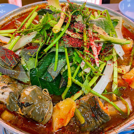 메기매운탕 메뉴 사진(네이버)