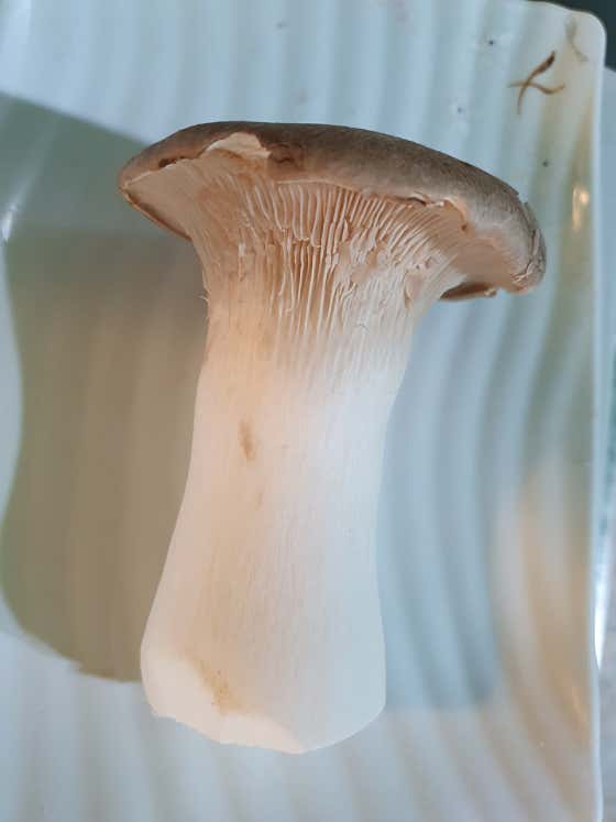 버섯 메뉴 사진(네이버)
