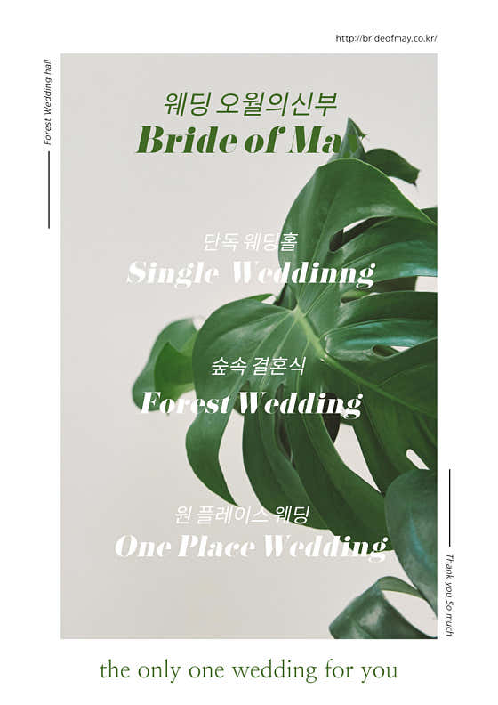 웨딩오월의신부