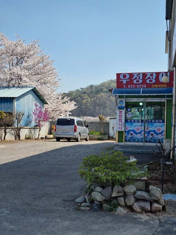우정장어
