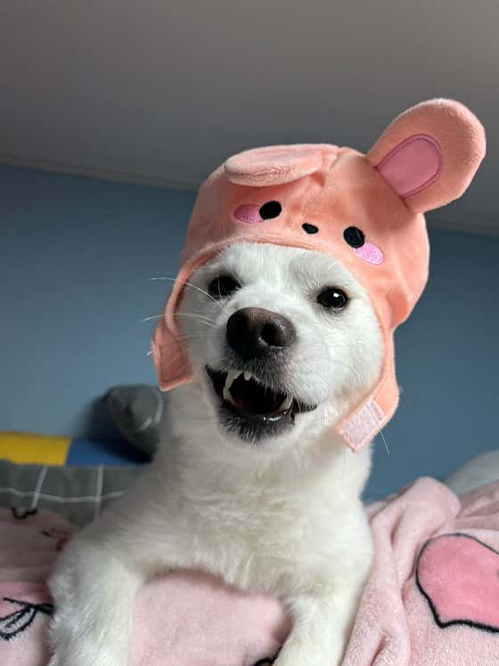 딸기가득라떼 메뉴 사진(네이버)