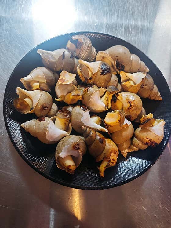 백고동구이 메뉴 사진(네이버)