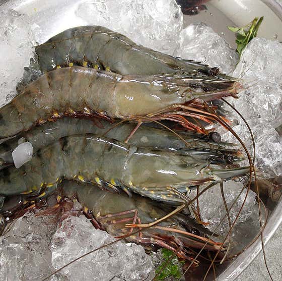 블랙타이거새우(4마리) 메뉴 사진(네이버)