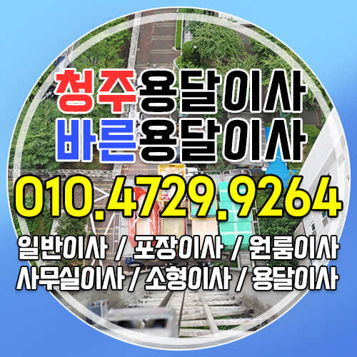청주 청원구 이사 포장이사 업체 후기 및 추천 원룸 용달 추천하는곳 저렴한곳 청주용달이사 바른용달이사 사진