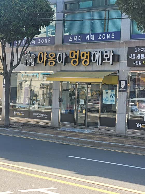 야옹아멍멍해봐 사천점