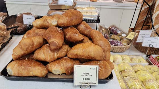 원주소금빵 메뉴 사진(네이버)