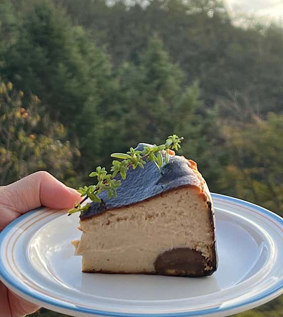 꿀밤바스크치즈케이크 메뉴 사진(네이버)
