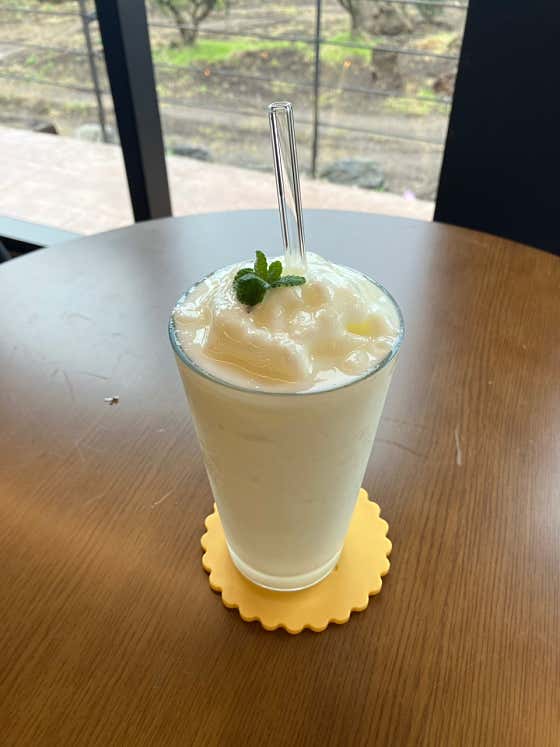 스무디(요거트) 메뉴 사진(네이버)