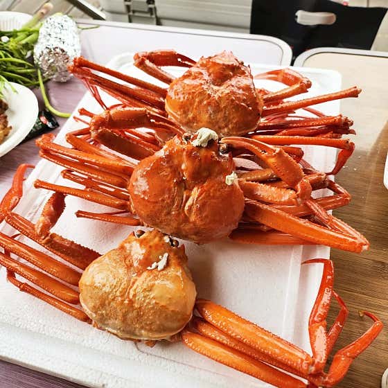 붉은대게 9마리 메뉴 사진(네이버)