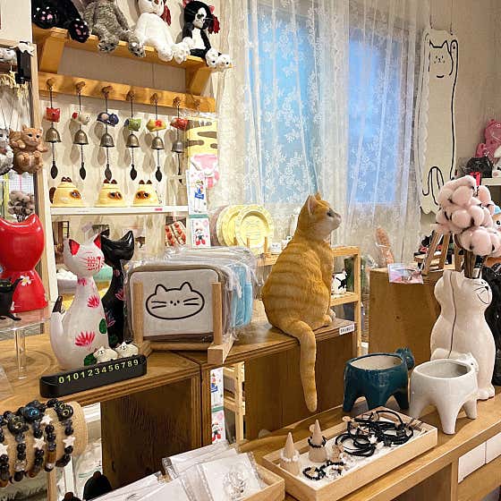 영도구 인테리어 업체 후기 및 추천 비용 정직한곳 후기 비용 후기 TOP5 추천하는곳 진진이네고양이잡화점 사진