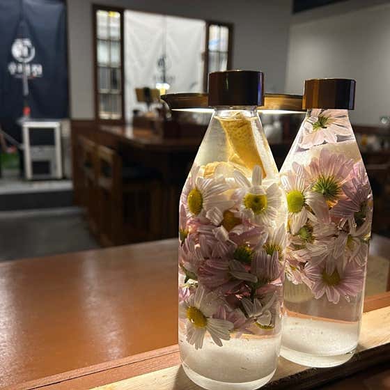 3월의 매화꽃주 메뉴 사진(네이버)