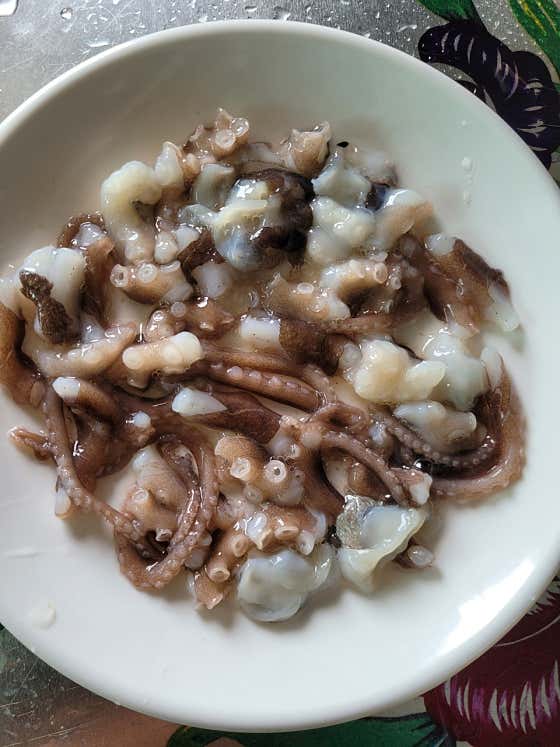 산 낙지 (1마리) 메뉴 사진(네이버)