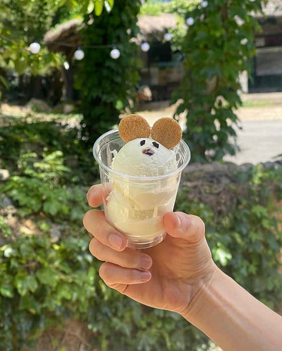 바닐라아이스크림 메뉴 사진(네이버)