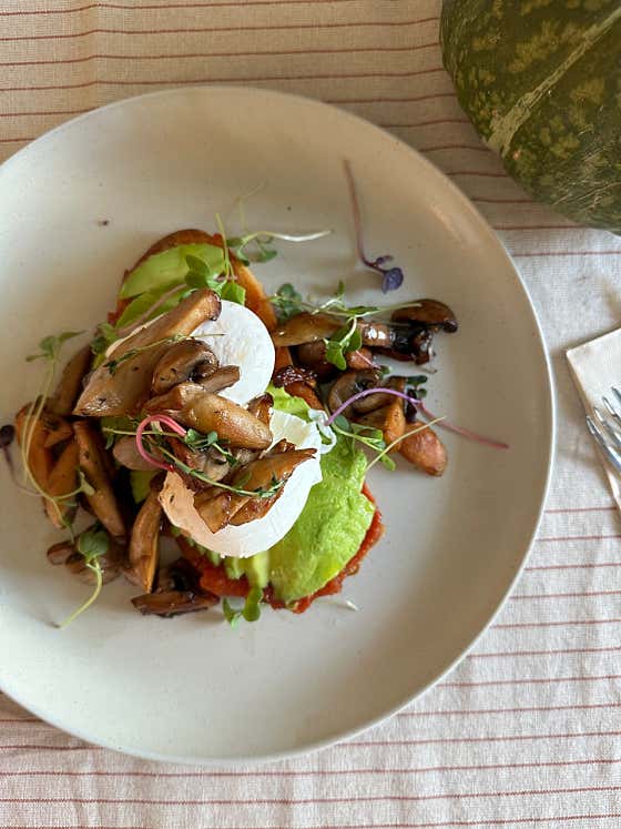 Mushroom on toast(V) 메뉴 사진(네이버)
