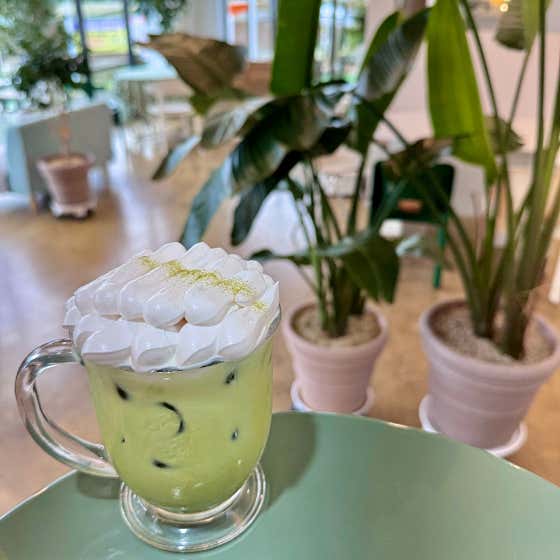 말차라떼 메뉴 사진(네이버)