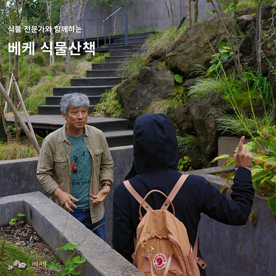 프로그램(베케 식물산책) 메뉴 사진(네이버)