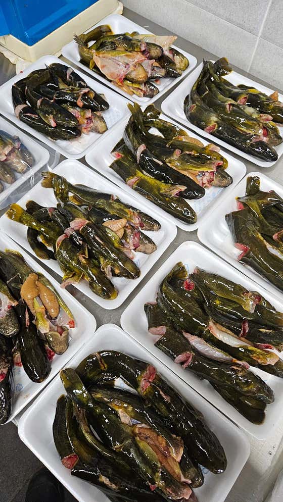 빠가매운탕小 메뉴 사진(네이버)