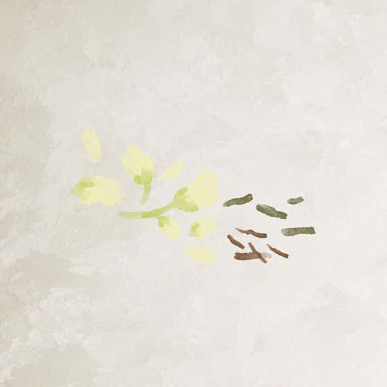 닻별 은하수 메뉴 사진(네이버)