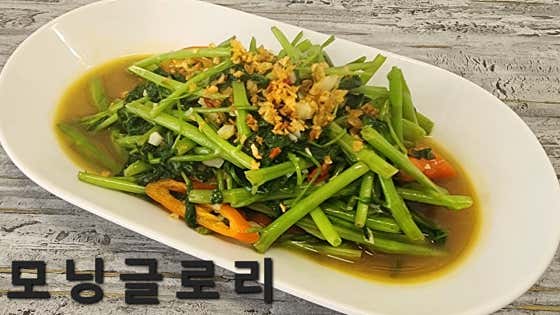 모닝글로리 메뉴 사진(네이버)