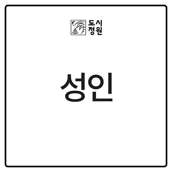 점심 성인 메뉴 사진(네이버)