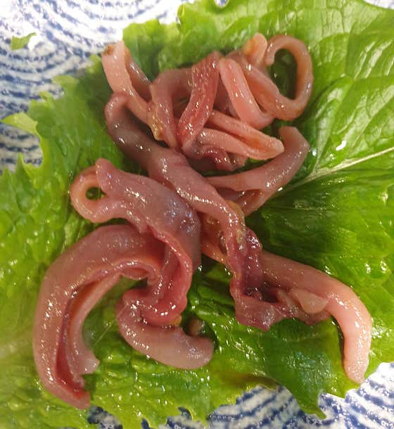 개불 메뉴 사진(네이버)
